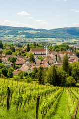 Arlesheim, Arlesheimer Dom, Dom, Domkirche, Weinberg,  Dorfplatz, Dorf, Domkirche, Wanderweg,...