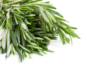 Twig of rosemary on a white isolated background