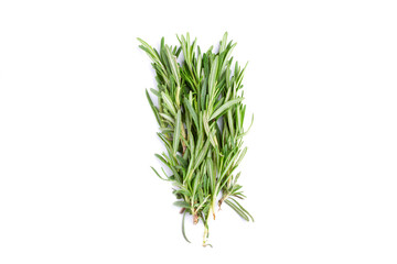 Twig of rosemary on a white isolated background