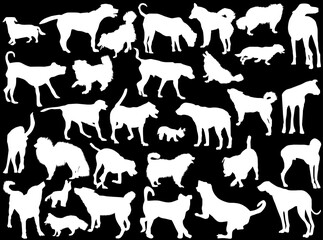 set of thirty one dogs silhouettes isolated on black