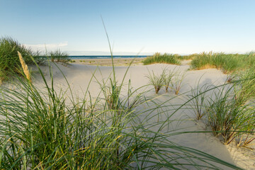 Fototapeta na wymiar Beach with sand dunes and marram grass in soft sunrise sunset light. Skagen Nordstrand, Denmark. Skagerrak, Kattegat.