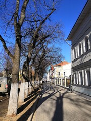 pedestrian street with trees and houses