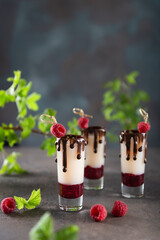 Raspberry Vodka Shots Lemonade Cocktail with Fresh Raspberry on dark Background with fresh green leaves. Side view, copy space. Bar menu, homemade shots drink recipe