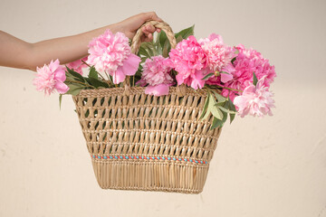 Flowers of pink red and white peonies in wicker basket, holding  hand of pretty woman on white background