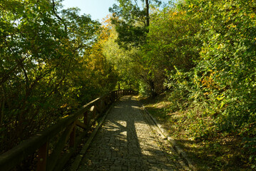 Stone paved path in the autumn forest.