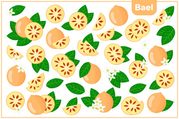 Set of vector cartoon illustrations with Bael exotic fruits, flowers and leaves isolated on white background