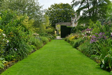 Grass Lawn Path Lined by Flowers in a Beautiful Garden