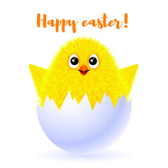 A small fluffy yellow chicken is smiling. Vector illustration of a happy Easter greeting card