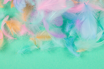 Colorful feather background, top view.