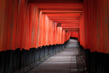 誰もいない京都伏見稲荷大社の千本鳥居