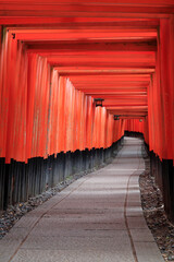 誰もいない京都伏見稲荷大社の千本鳥居