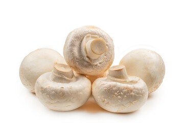 Champignon mushroom isolated on white background.