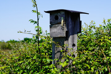 wooden bird house in tree home garden park