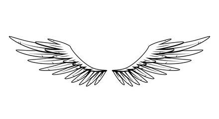 Vintage heraldic wings. Monochrome stylized birds wings. Design elements in coloring style. Abstract sketch