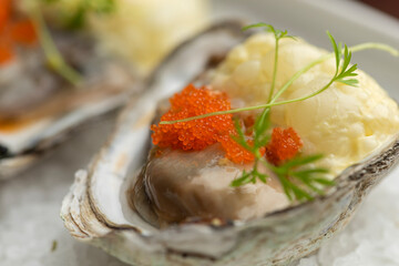 Oysters garnished with red caviar on salt and plate