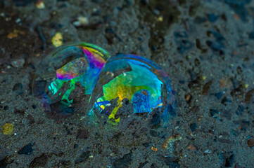 Soap bubbles fell on the asphalt