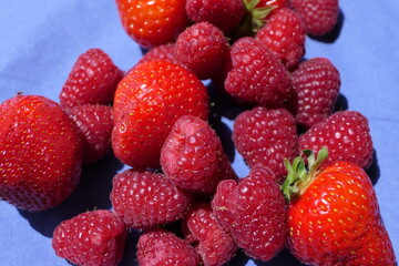 Macro shot of sunlit mixed berries - strawberries and raspberries on a blue background