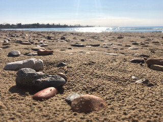 sea shell on the beach and stone