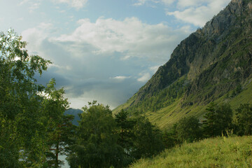 Mountain valley of the Katun river. Green mountains and valley. Altai. Siberia.