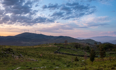 Lindo amanhecer pôr do sol no campo de cultivo nas montanhas
