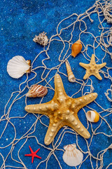Fototapeta na wymiar Seashells summer background. Lots of different seashells piled together, sea stars, fishing net