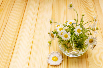 Chamomile tea. Fresh flowers, summer hot drink concept. Alternative medicine, lifestyle