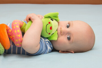 A cute baby boy with a soft toy in a blue background 