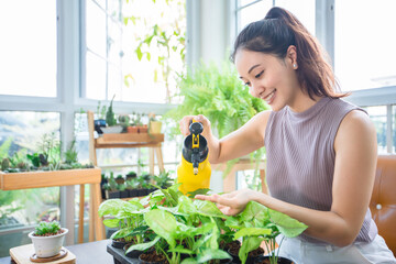 Asian woman Gardener Spraying of water on the plant in the garden for relaxing day at home.