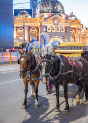 Obraz na płótnie Canvas Horses and Carriage in Melbourne CBD