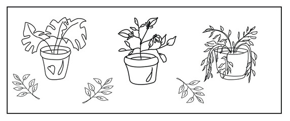 A set of cute Doodle pictures of flower pots. Potted rose, monstera, twigs with leaves. Isolated images on a white background.