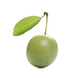 Wild green plum, prune isolated on white background