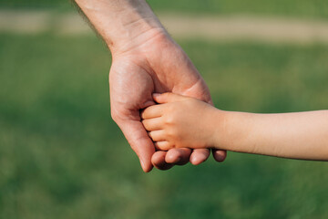 Parent holding the hand of a small child. Father's hand lead his child in summer nature outdoor. Family or fathers day concept.