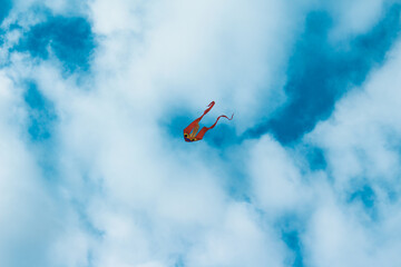 Kite in Cloudy Sky