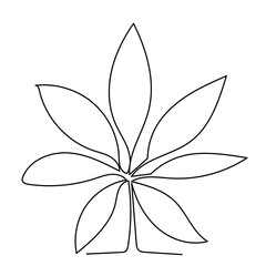  white background, palm leaf continuous line drawing, sketch