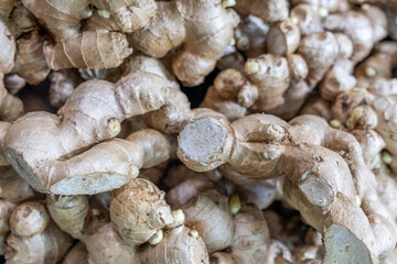 Ginger at the markets in Sydney CBD