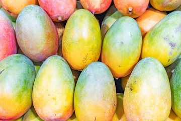 Mangoes at the markets in Sydney CBD