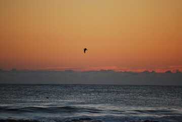 Beach Horizon