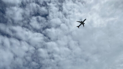 airplane flying in the sky