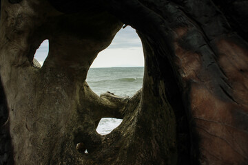Hole in Driftwood