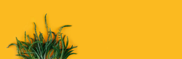 Banner made from fresh herbs on yellow background.