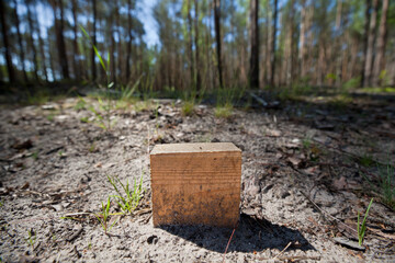 Drewniana kostka porzucona w lesie.