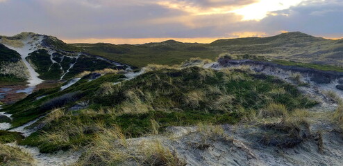 Sylt Kampen Dünen mit Gras