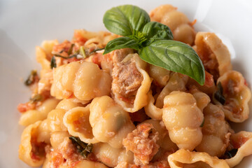 Deliziosi gnocchi con ragu di pesce, Cucina Italiana
