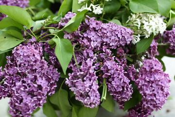 violet lilac flowers with rain drops closeup photo