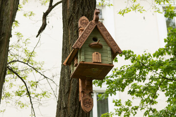 A beautiful expensive carved painted green birdhouse made of wood is on a branch in a city park.