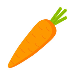 tasty food color flat icon carrot