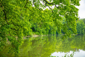 Fototapeta na wymiar Pond near czech castle Konopiste near Prague, Czech republic