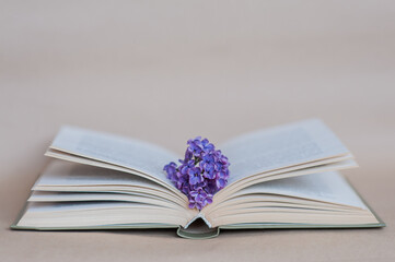 Beautiful flowering branch of lilac on an open book, free space from above. Neutral light colors.
