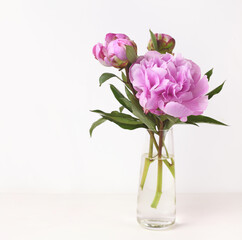 Bouquet of pink peony flowers and buds in a glass vase