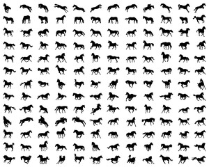 Big set of horses silhouettes on the background